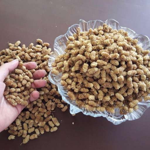 تصویر 4 از قیمت خرید توت موزی سفید خشک با فروش عمده